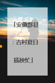 安徽黟县：古村夏日插秧忙