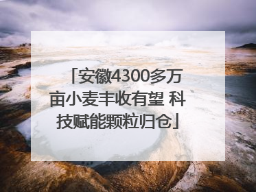 安徽4300多万亩小麦丰收有望 科技赋能颗粒归仓