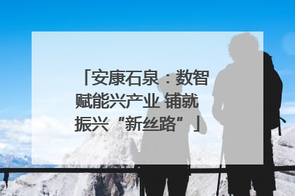 安康石泉：数智赋能兴产业 铺就振兴“新丝路”