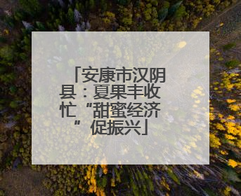 安康市汉阴县：夏果丰收忙“甜蜜经济”促振兴