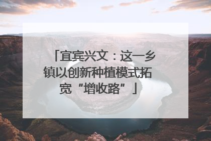 宜宾兴文：这一乡镇以创新种植模式拓宽“增收路”