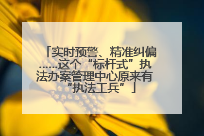 实时预警、精准纠偏……这个“标杆式”执法办案管理中心原来有“执法工兵”
