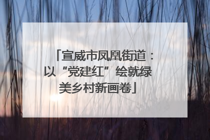 宣威市凤凰街道：以“党建红”绘就绿美乡村新画卷