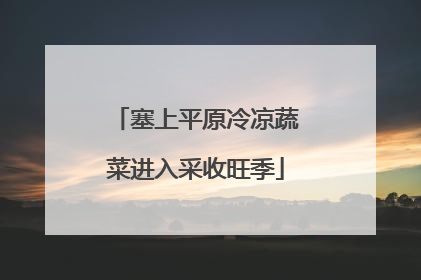 塞上平原冷凉蔬菜进入采收旺季