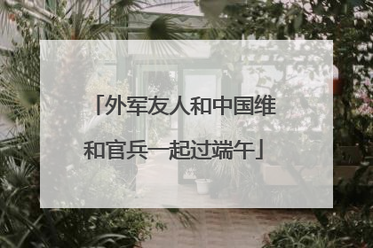 外军友人和中国维和官兵一起过端午