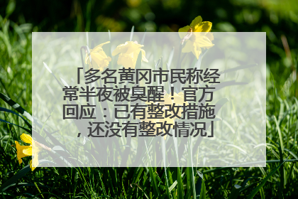 多名黄冈市民称经常半夜被臭醒！官方回应：已有整改措施，还没有整改情况