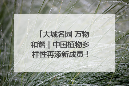 大城名园 万物和谐｜中国植物多样性再添新成员！它只在西藏墨脱