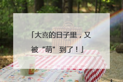 大喜的日子里，又被“萌”到了！