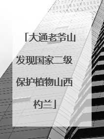 大通老爷山发现国家二级保护植物山西杓兰