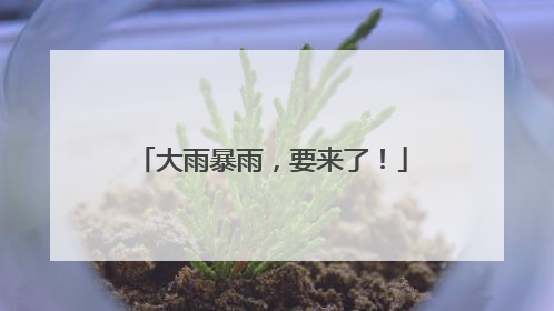 大雨暴雨，要来了！