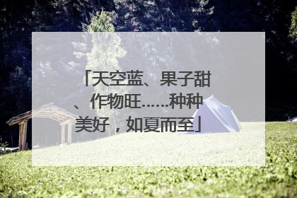 天空蓝、果子甜、作物旺……种种美好，如夏而至