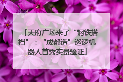 天府广场来了“钢铁搭档”：“成都造”巡逻机器人首秀实景验证