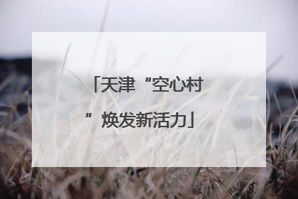 天津“空心村”焕发新活力