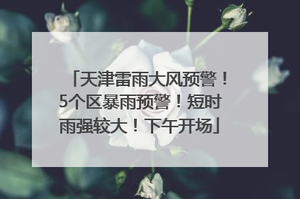 天津雷雨大风预警！5个区暴雨预警！短时雨强较大！下午开场