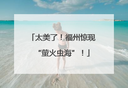 太美了！福州惊现“萤火虫海”！