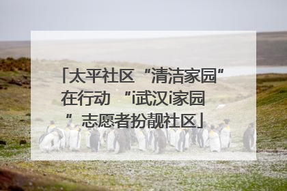 太平社区“清洁家园”在行动 “i武汉i家园”志愿者扮靓社区