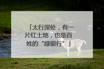 太行深处，有一片红土地，也是百姓的“绿银行”
