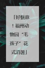 好惬意！福州动物园“毛孩子”花式消暑