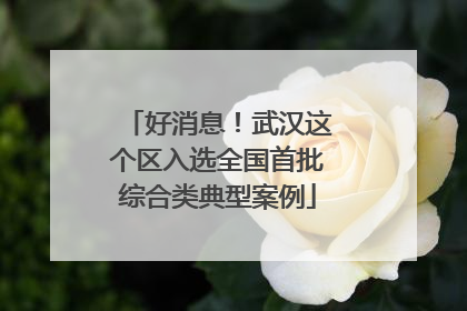 好消息！武汉这个区入选全国首批综合类典型案例