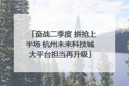 奋战二季度 拼抢上半场 杭州未来科技城大平台担当再升级