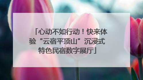 心动不如行动！快来体验“云宿平顶山”沉浸式特色民宿数字展厅