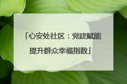 心安处社区：党建赋能 提升群众幸福指数