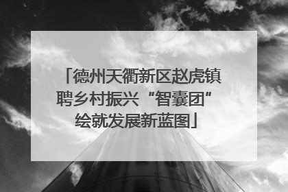 德州天衢新区赵虎镇聘乡村振兴“智囊团” 绘就发展新蓝图