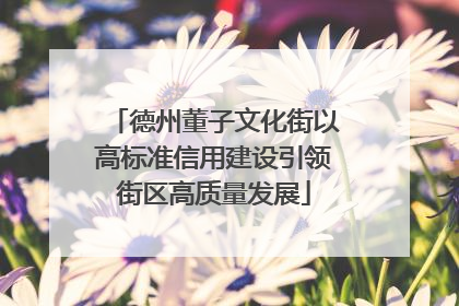 德州董子文化街以高标准信用建设引领街区高质量发展
