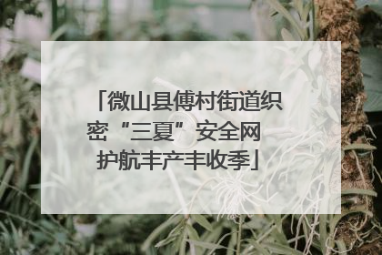 微山县傅村街道织密“三夏”安全网 护航丰产丰收季