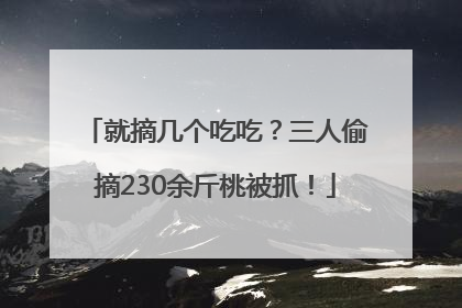 就摘几个吃吃？三人偷摘230余斤桃被抓！
