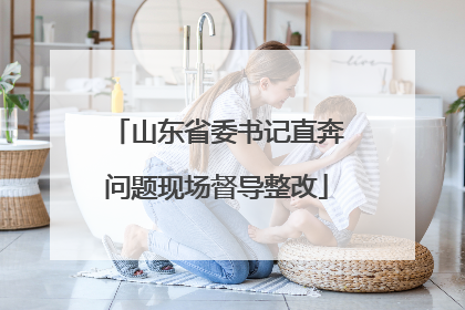 山东省委书记直奔问题现场督导整改