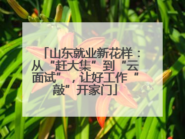 山东就业新花样：从“赶大集”到“云面试”，让好工作“敲”开家门