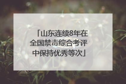 山东连续8年在全国禁毒综合考评中保持优秀等次