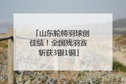 山东轮椅羽球创佳绩！全国残羽赛斩获3银1铜