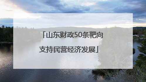 山东财政50条靶向支持民营经济发展
