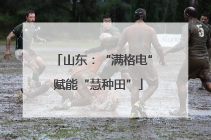 山东：“满格电”赋能“慧种田”