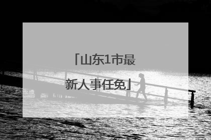 山东1市最新人事任免