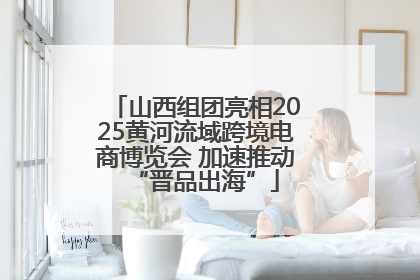 山西组团亮相2025黄河流域跨境电商博览会 加速推动“晋品出海”