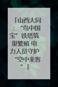 山西大同：“鸟中国宝”铁塔筑巢繁殖 电力人员守护“空中来客”