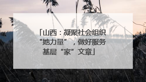 山西：凝聚社会组织“她力量”，做好服务基层“家”文章