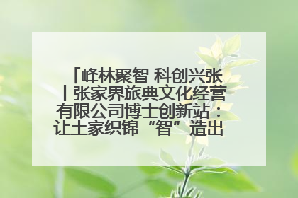 峰林聚智 科创兴张丨张家界旅典文化经营有限公司博士创新站：让土家织锦“智”造出非遗新传奇