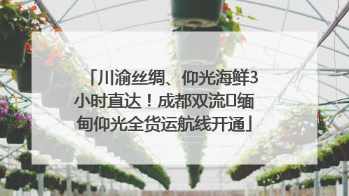 川渝丝绸、仰光海鲜3小时直达！成都双流⇌缅甸仰光全货运航线开通