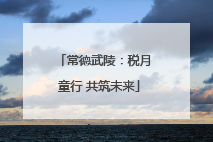 常德武陵：税月童行 共筑未来