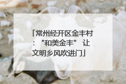 常州经开区金丰村：“和美金丰” 让文明乡风吹进门