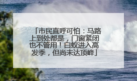 市民直呼可怕：马路上到处都是，门窗紧闭也不管用！白蚁进入高发季，但尚未达顶峰