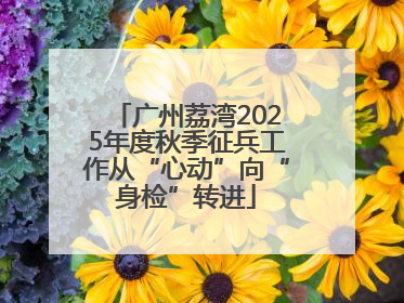 广州荔湾2025年度秋季征兵工作从“心动”向“身检”转进