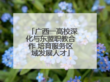 广西一高校深化与东盟职教合作 培育服务区域发展人才