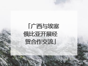 广西与埃塞俄比亚开展经贸合作交流