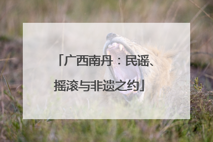 广西南丹：民谣、摇滚与非遗之约
