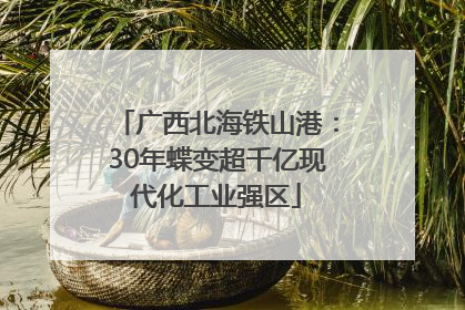 广西北海铁山港：30年蝶变超千亿现代化工业强区